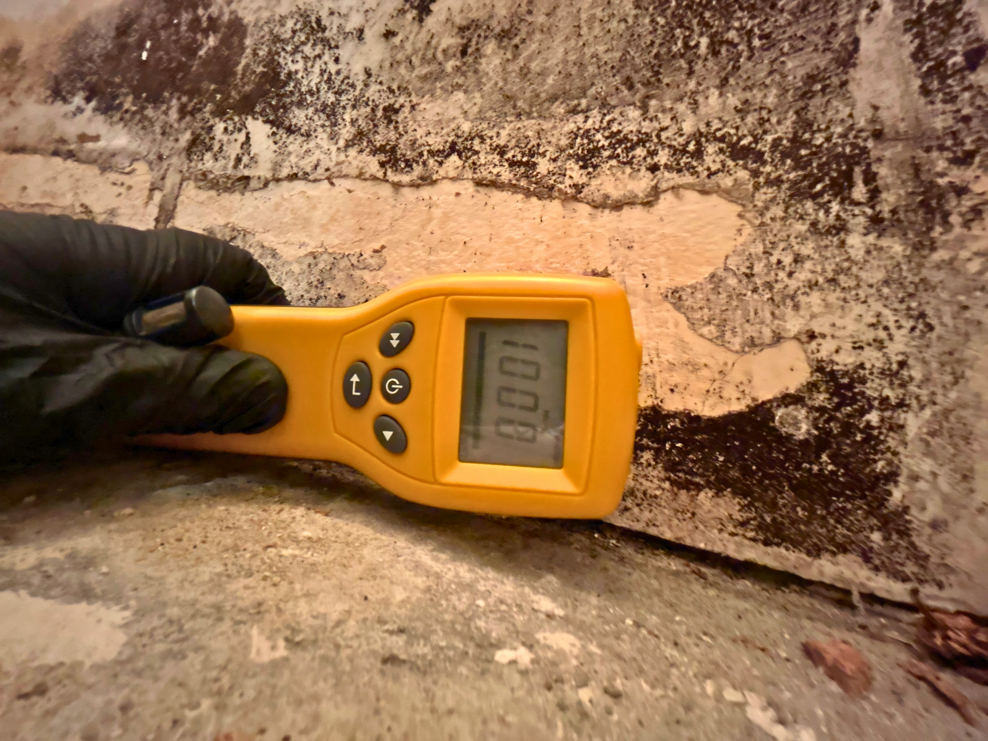 Tampa Bay Mold Testing cover photo