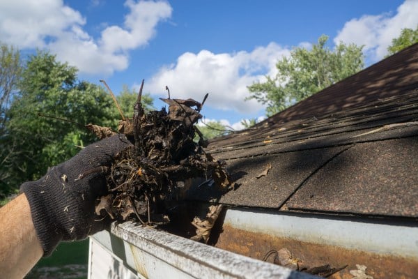 Absolute Duct & Chimney Cleaning work photo