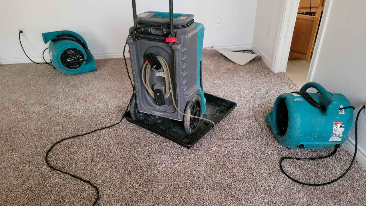 Mold Removal Euclid, OH cover photo