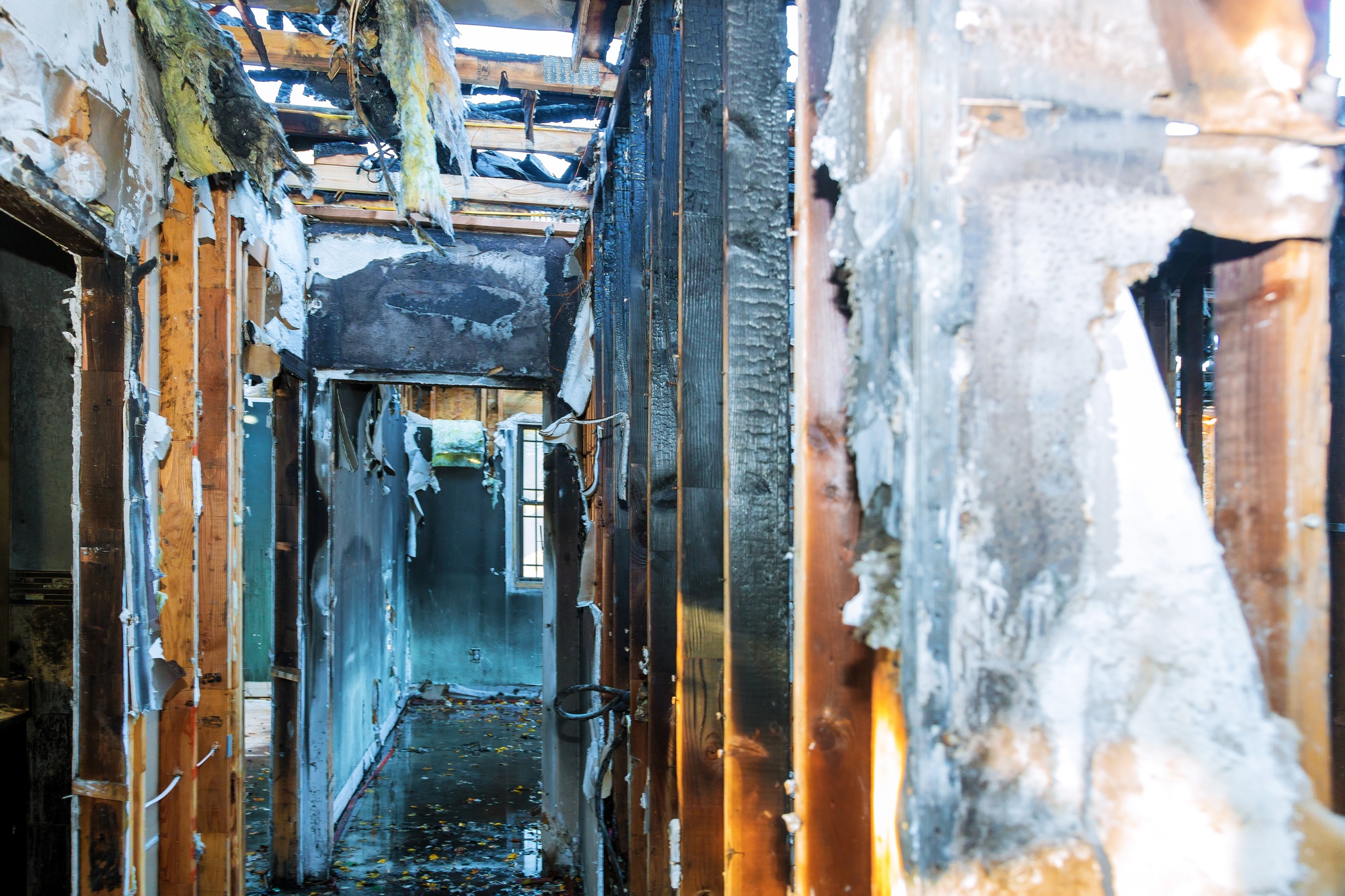 Seattle Mold And Restoration Service work photo
