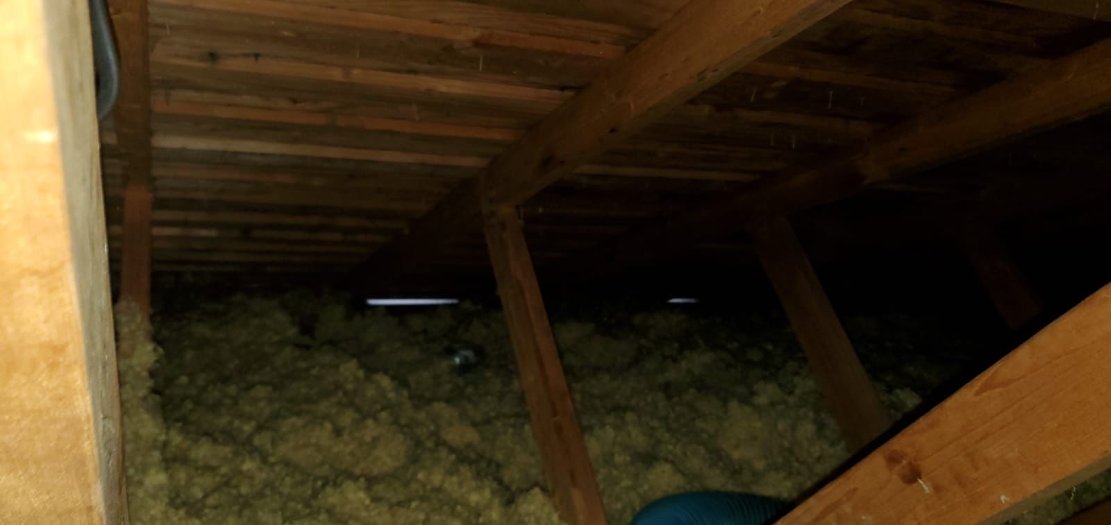 Crawl Space & Drainage Systems LLC cover photo