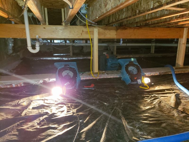 Water Mitigation Services cover photo