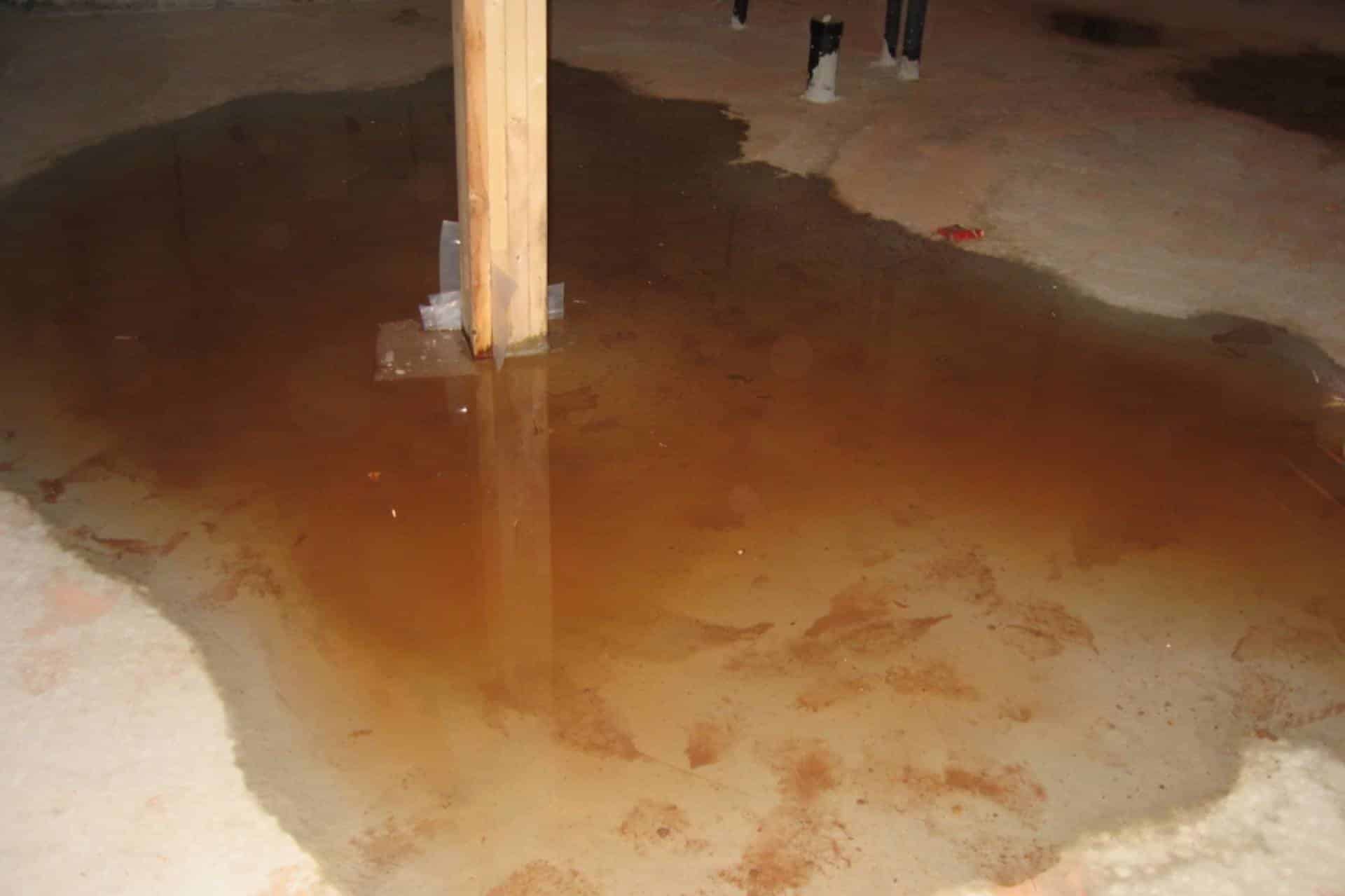 Sure-Dri Basement Waterproofing cover photo