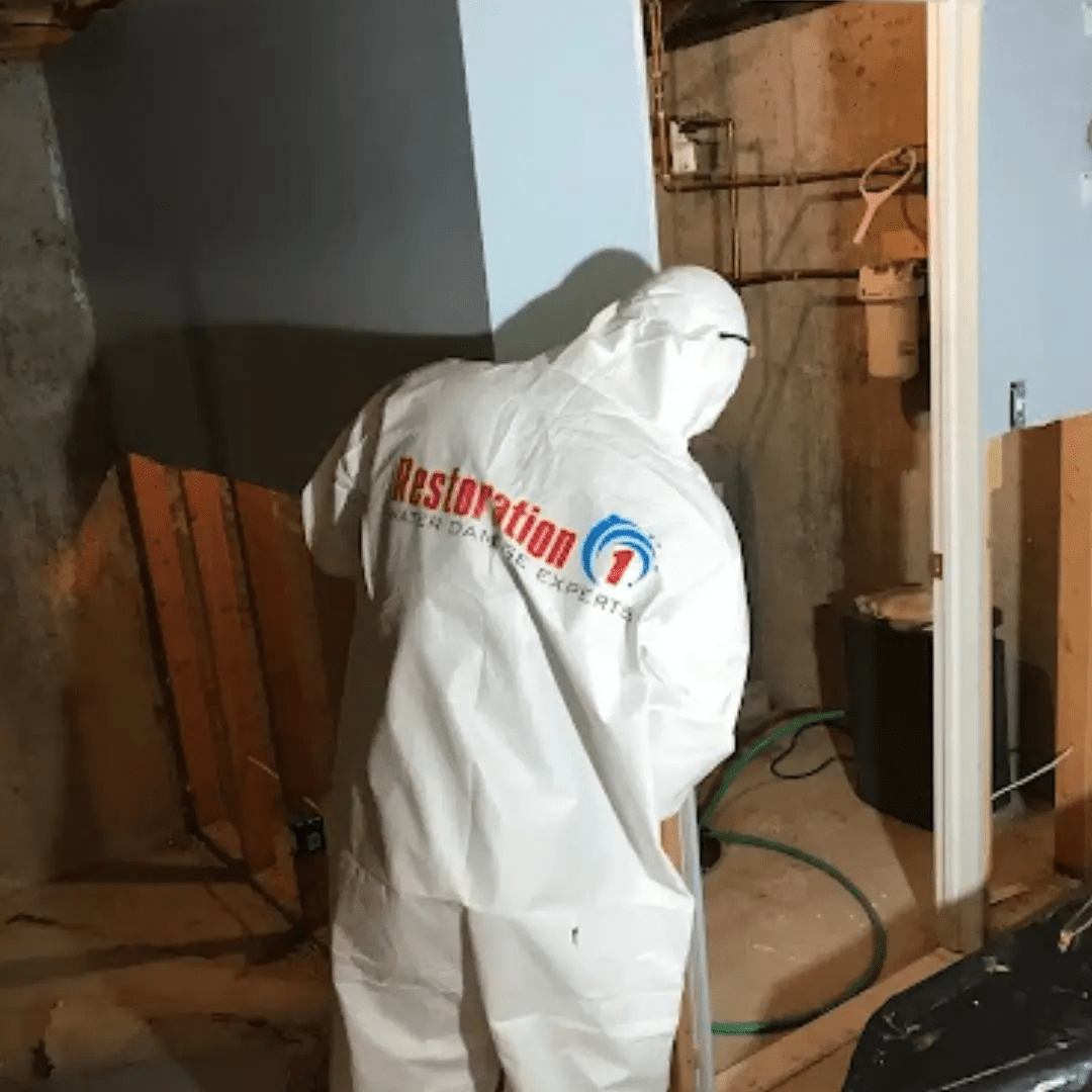 Restoration 1 Texas Hill Country work photo