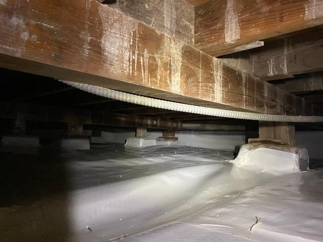 Saber Foundation & Concrete Repair work photo