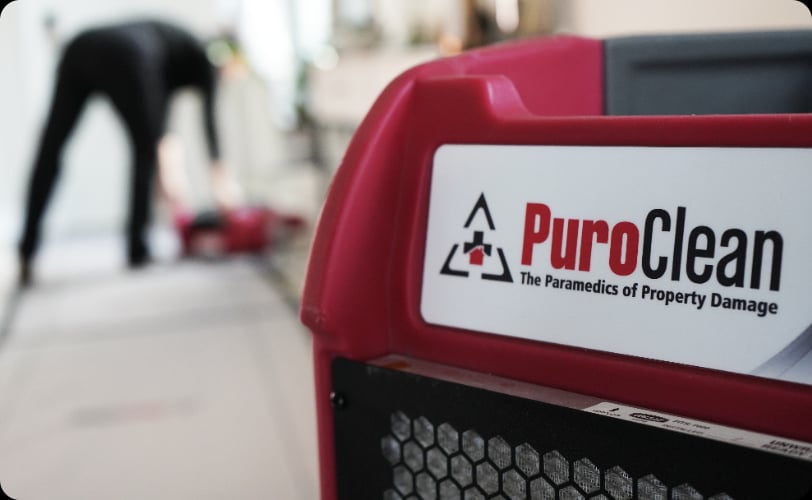 PuroClean Home Savers cover photo