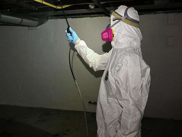 The Mold Removers work photo