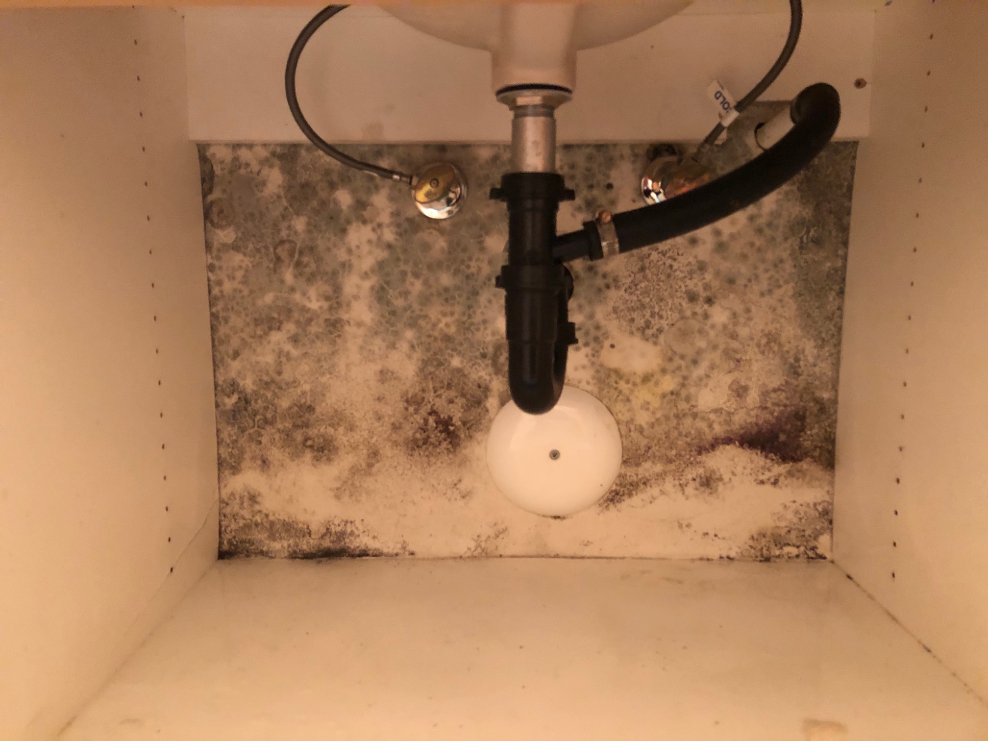Water Damage Restoration Anaheim, CA work photo