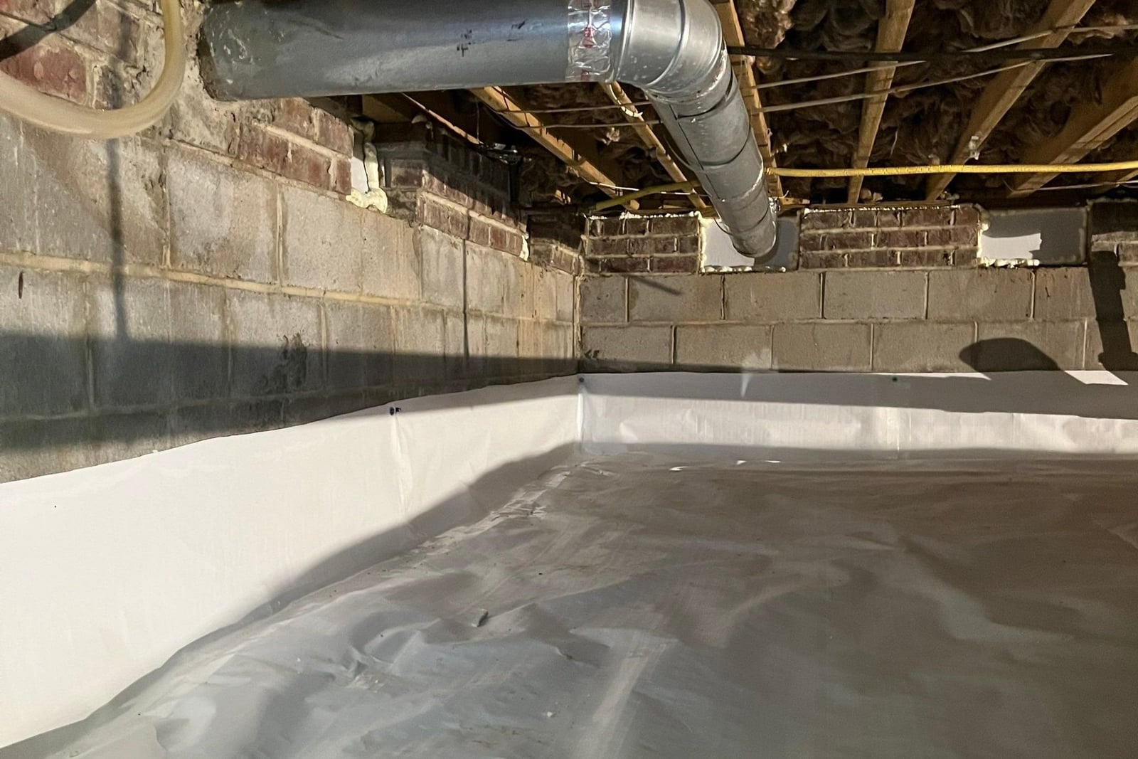 Carolina Casa work photo