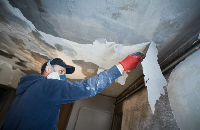 Risk Free Serv Water Damage Repair San Diego cover photo