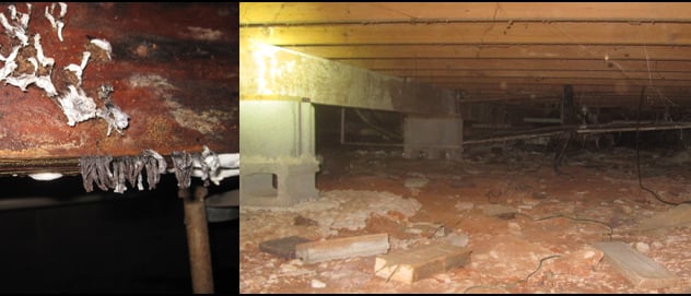 Atlanta Mold Testing Services cover photo