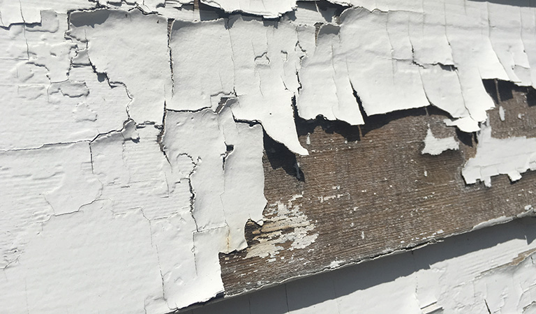Lead Safe Resources cover photo