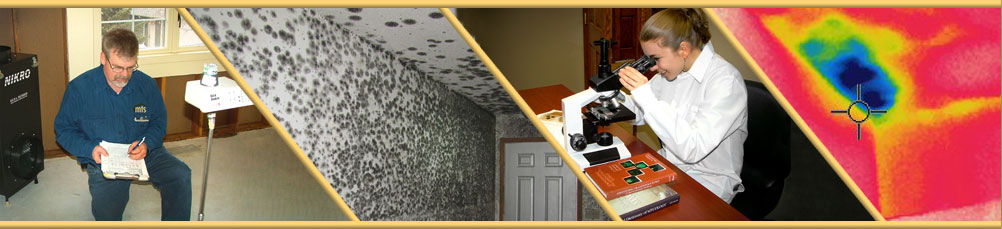 Mold Testing Services, LLC cover photo