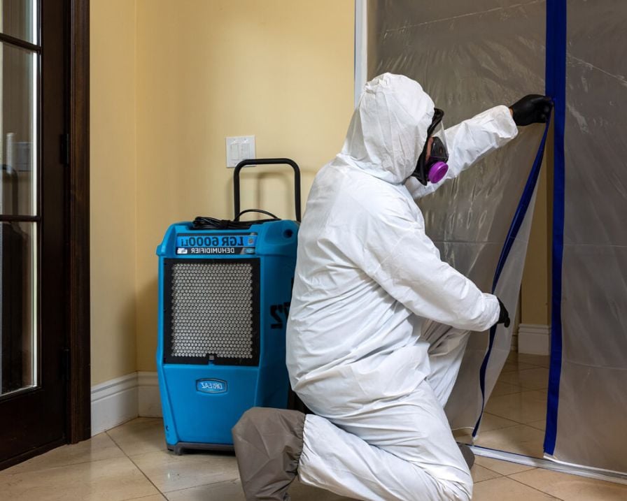 Mold Remediation Los Angeles Experts cover photo