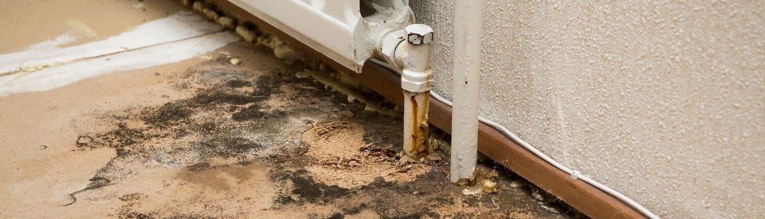 Quality Mold Solutions, LLC. cover photo