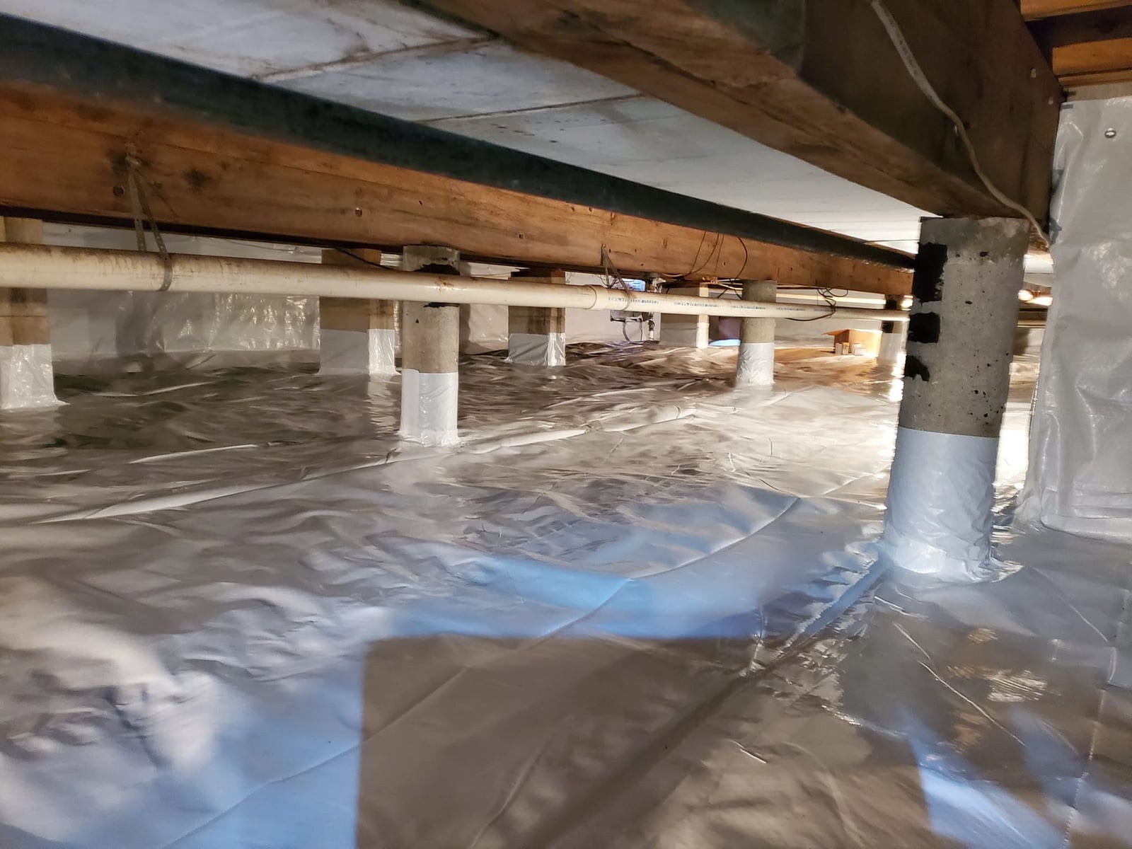 Joplin Mold Inspection and Remediation cover photo