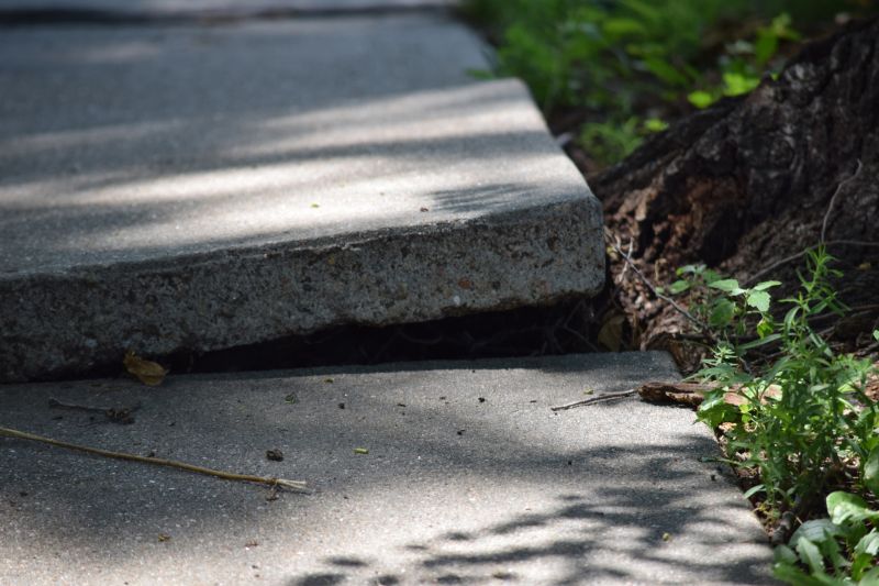 Get Driveway Slab Lifting in Orange Park, FL cover photo