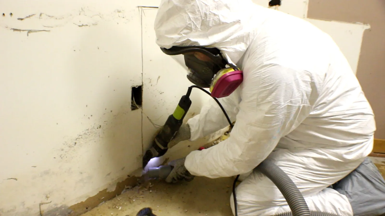 Mold Medics cover photo