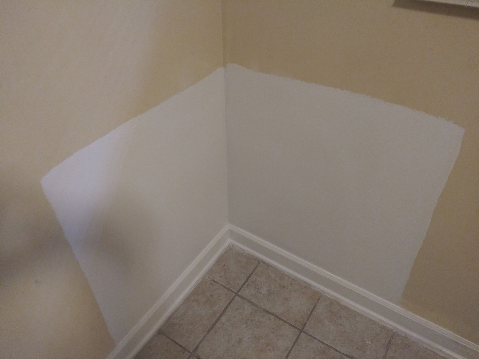 Simply Mold Gone work photo