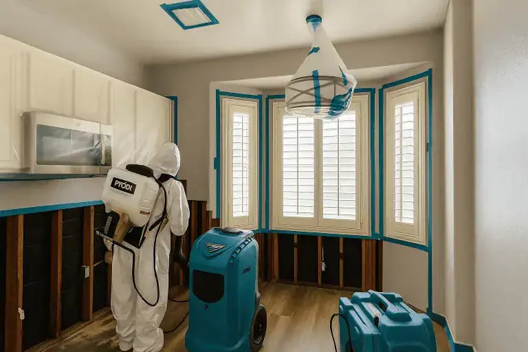 Xpress Restoration Inc. : Fire & Water Damage Restoration cover photo