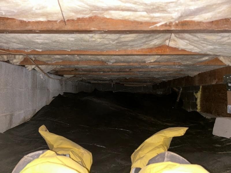 Expert Crawl Space Inspections and Repairs cover photo