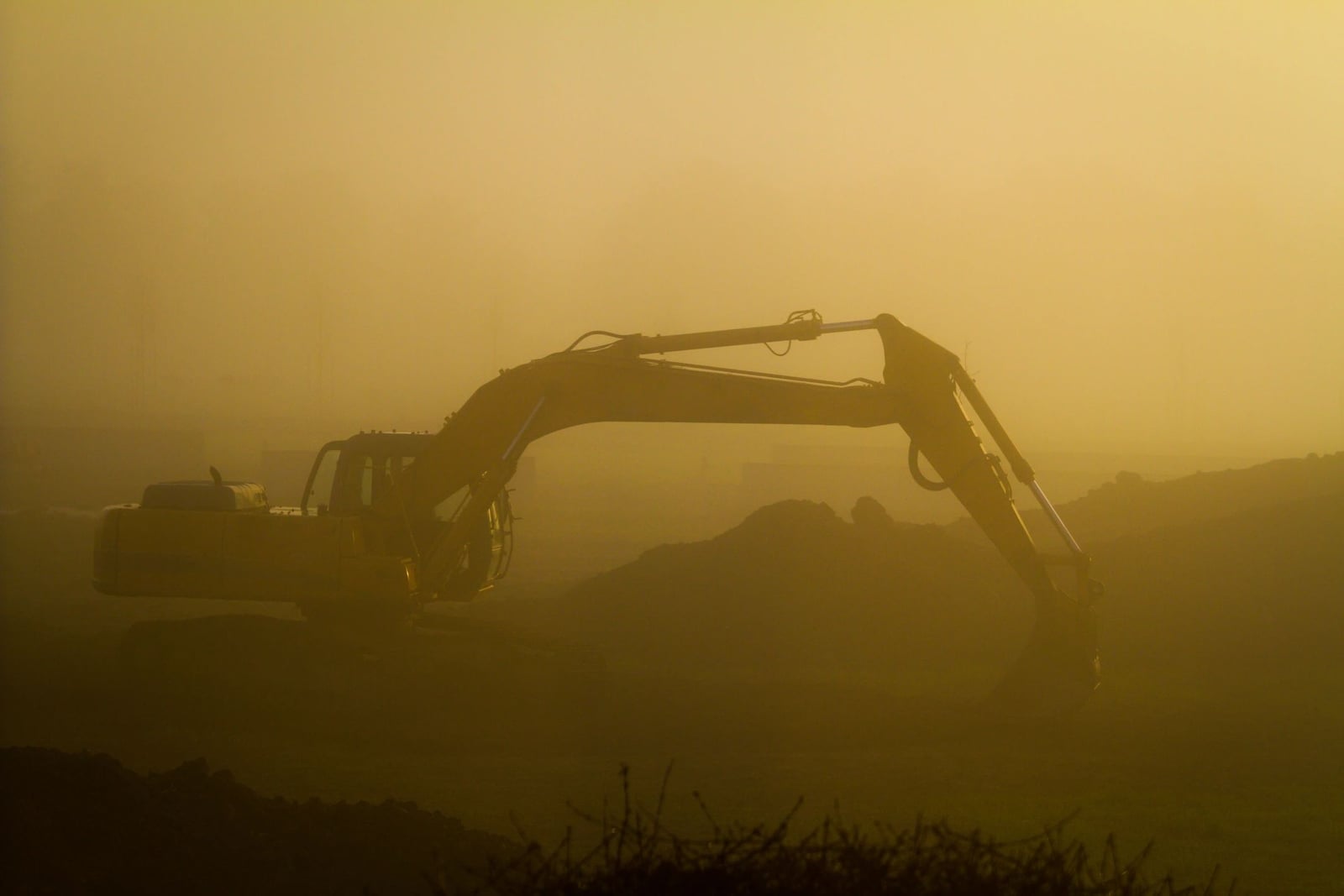 Busy Little Bee work photo