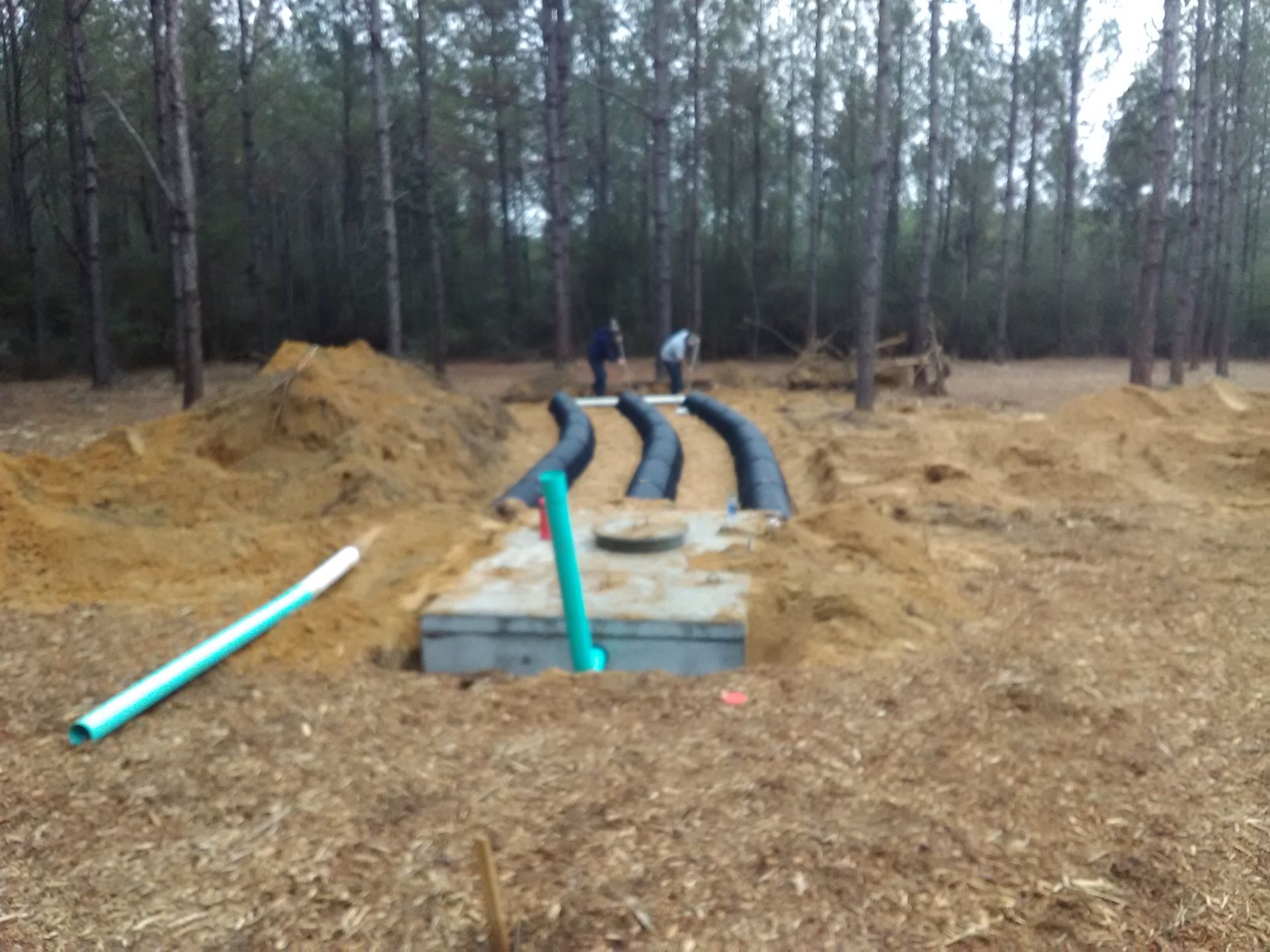 Zeb Watts Septic cover photo