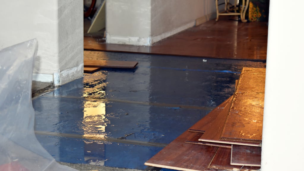 Mold Removal & Remediation work photo