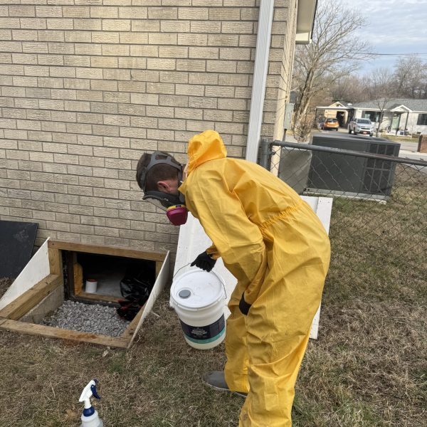 TrustPoint Restoration work photo