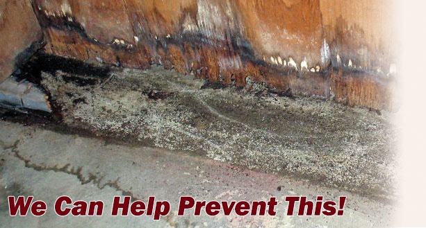Crack Attack Foundation Repair North cover photo