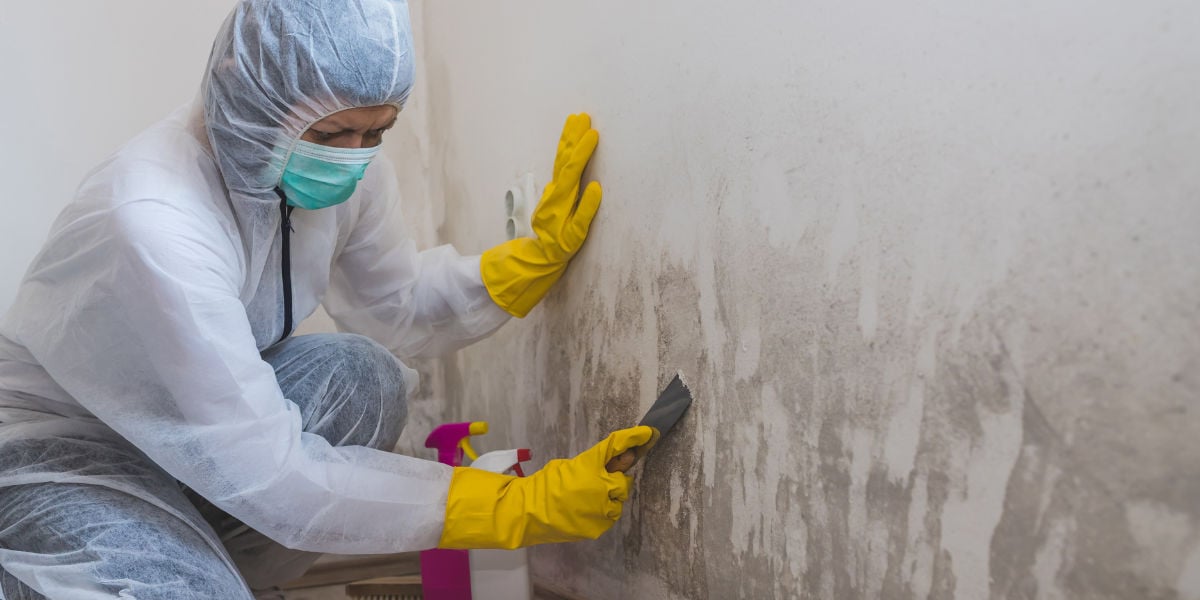 Mold Remediation in Morrow, GA cover photo