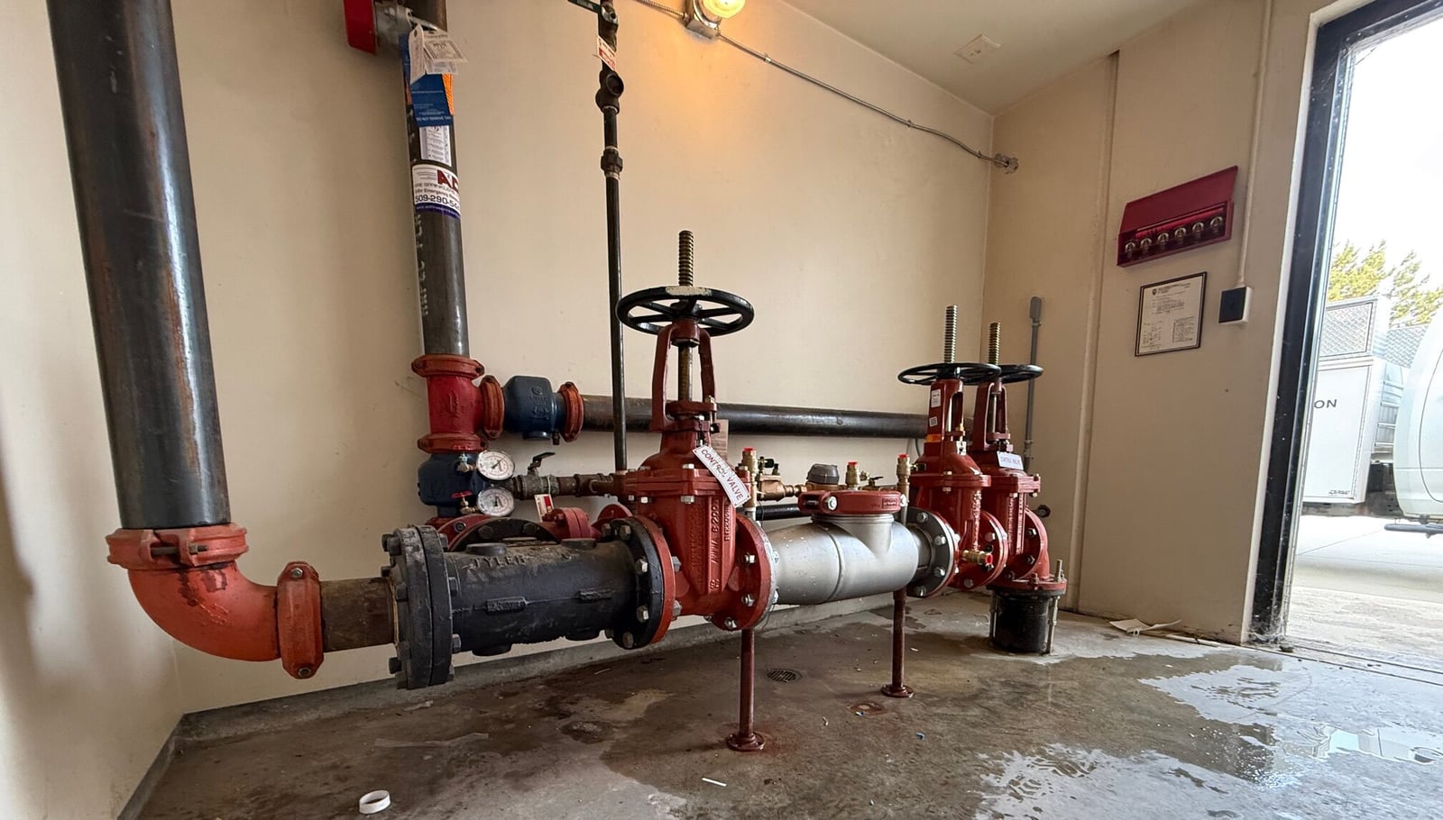 Backflow King cover photo