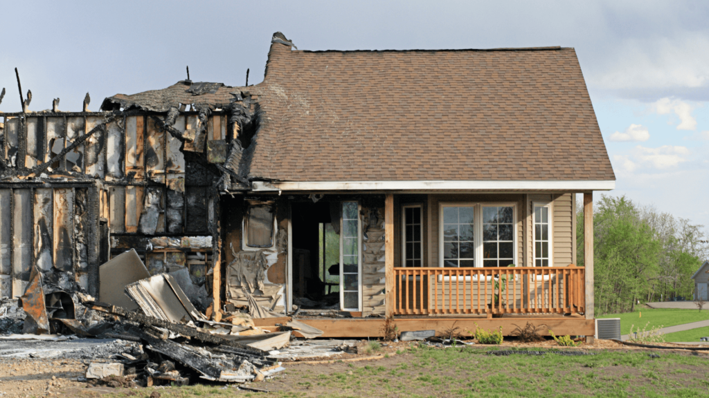 Mold Removal & Remediation cover photo