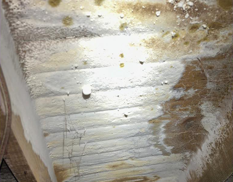 All Pro Crawlspace Solutions cover photo