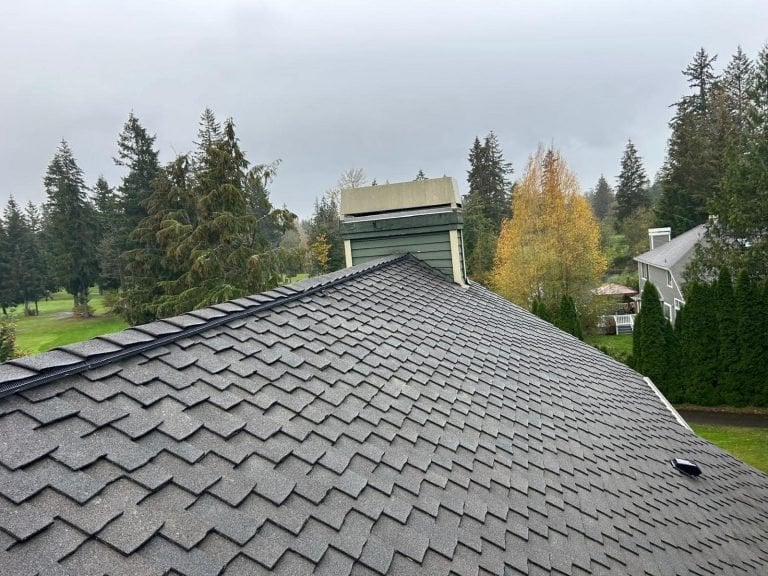 Chimneyz LLC work photo