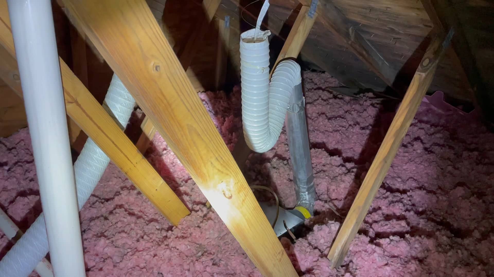 MOLD REMOVAL cover photo