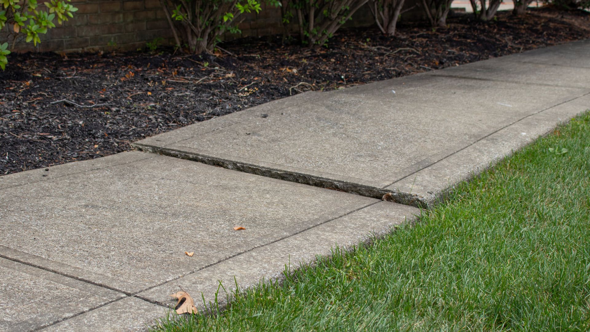 TD Concrete Leveling cover photo