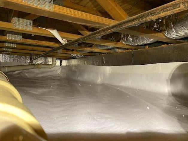 Dry Basements Plus cover photo