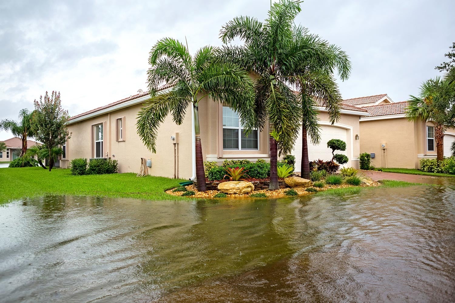 Specialty Water Damage Restoration cover photo
