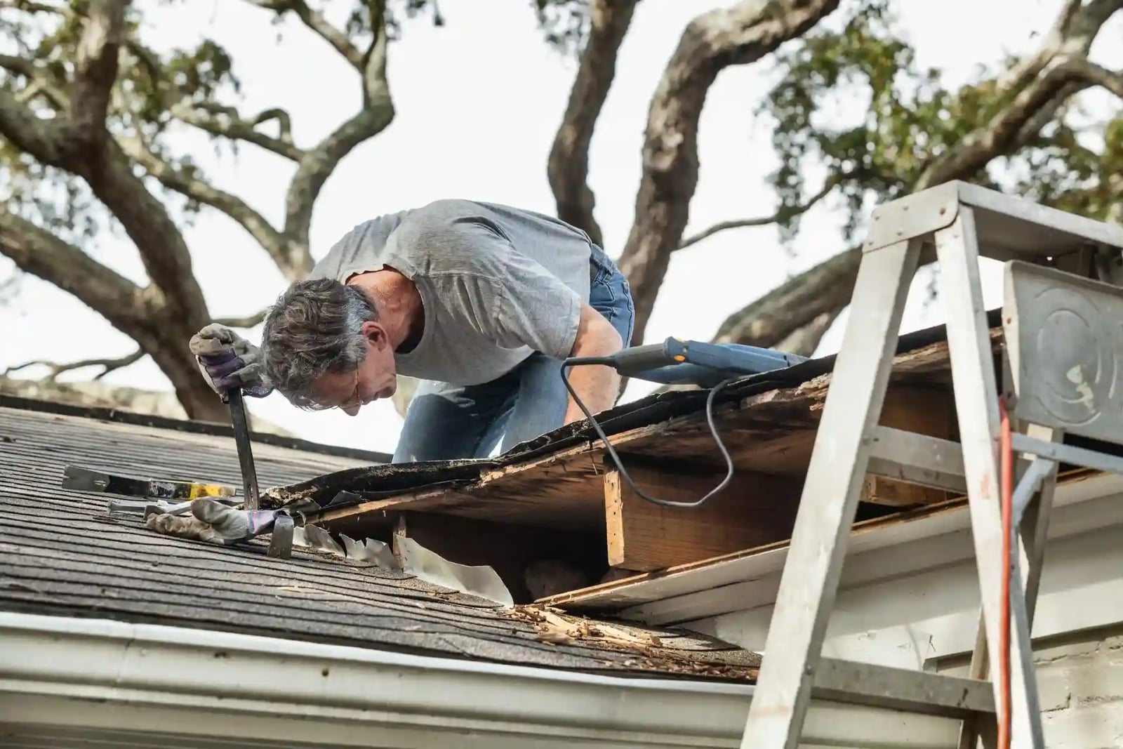 Rapid Remediation cover photo