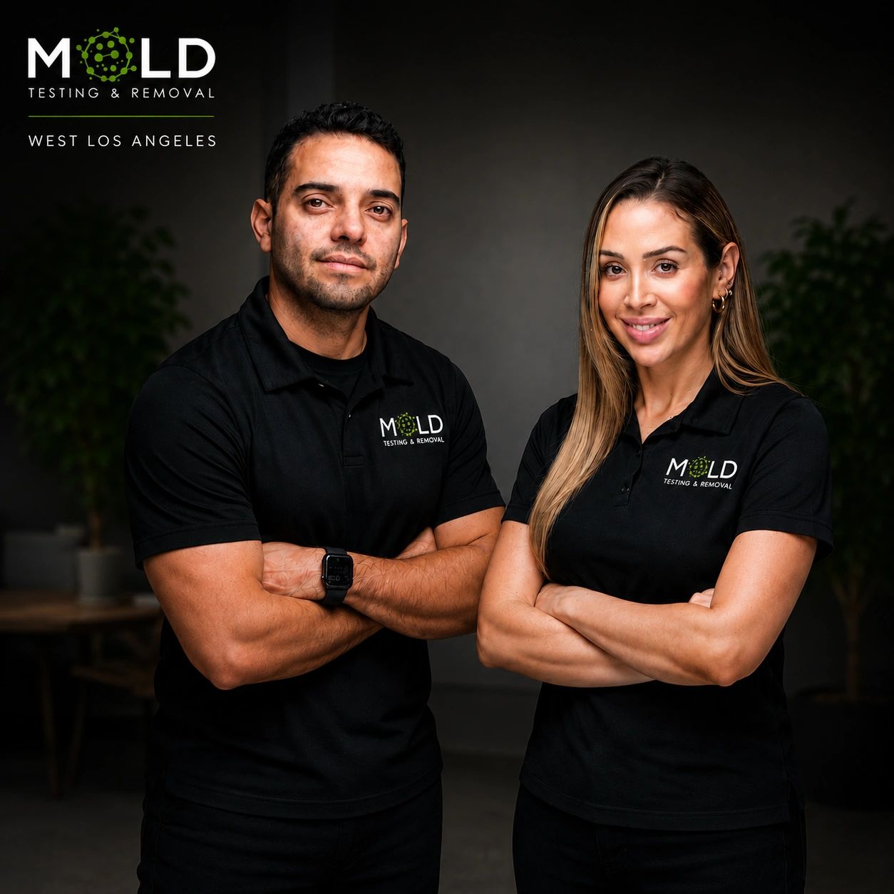 Mold Experts Los Angeles cover photo