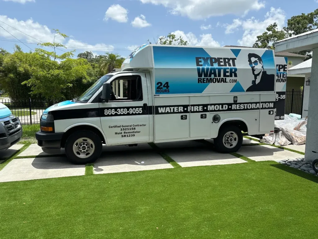 Expert Water Removal work photo