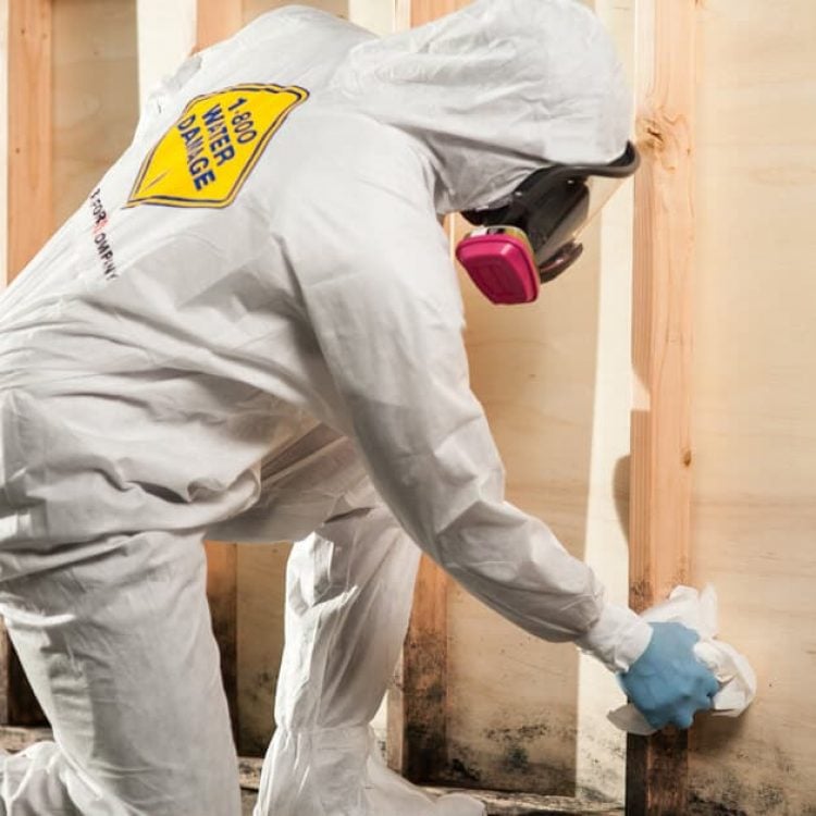 1-800 WATER DAMAGE of Cleveland West work photo