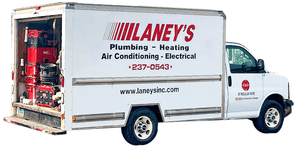 LANEYS INC cover photo