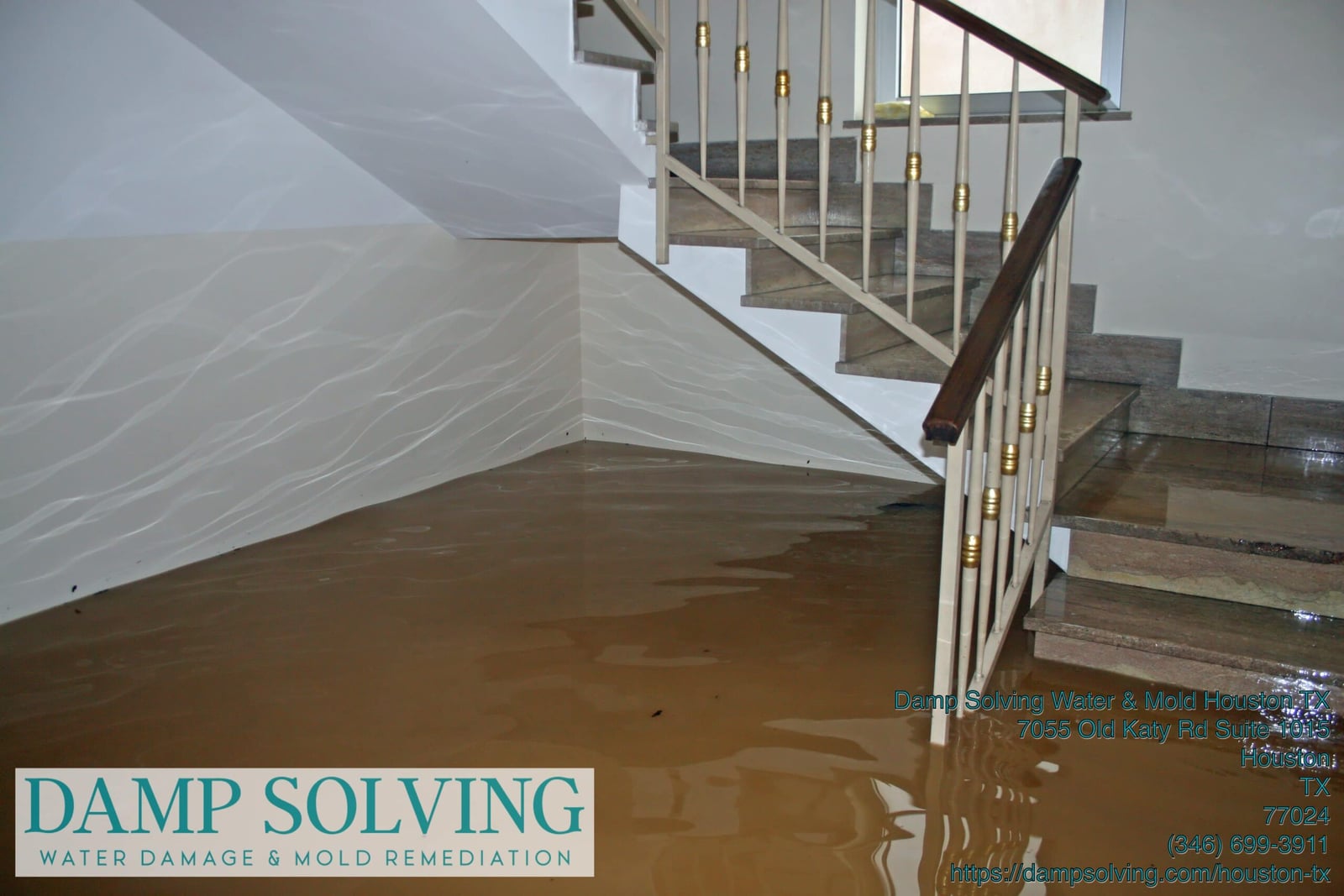 Damp Solving Water & Mold cover photo