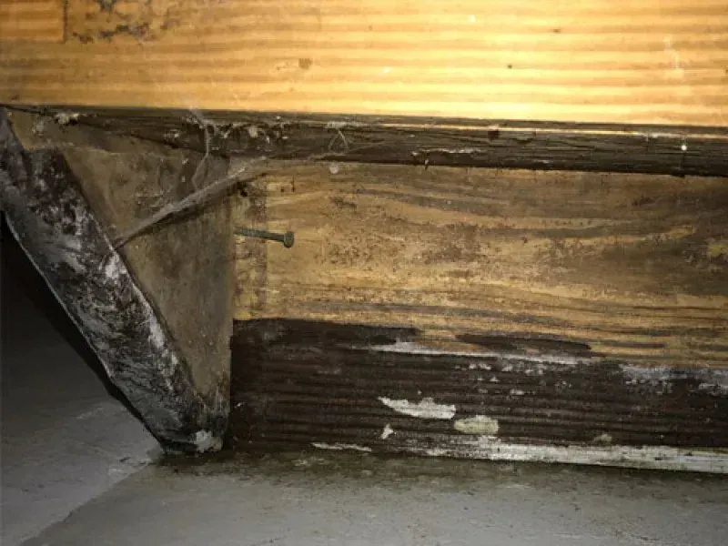 Tru Basement Waterproofing cover photo