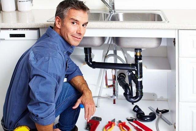 Express Mold Removal Miami cover photo