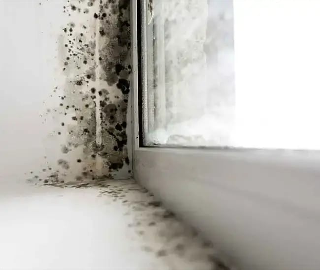 Mold Removal West Village Manhattan work photo