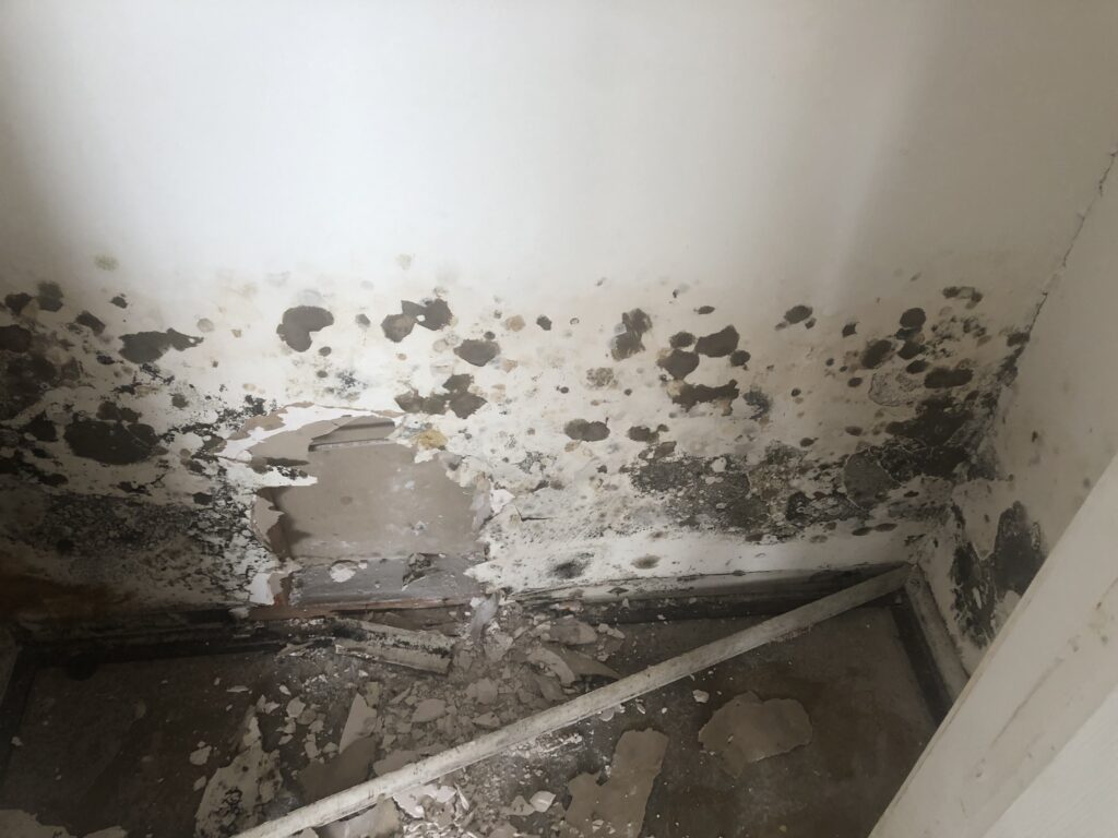DFW Restorations Enterprise work photo