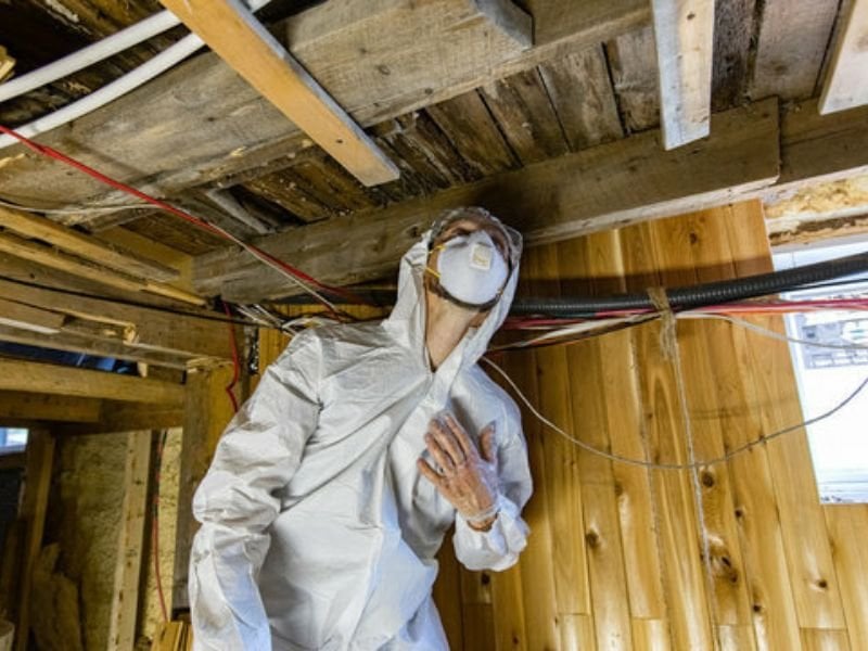 Pro Environmental Testing work photo